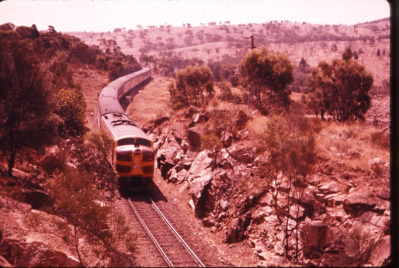 100315: Bethungra Spiral Up Daylight Express 4202 Over Tunnels