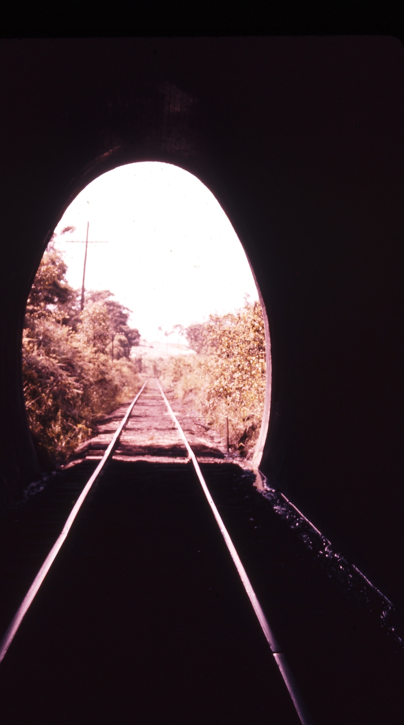 101128: Fernleigh Tunnel Adamstown Portal