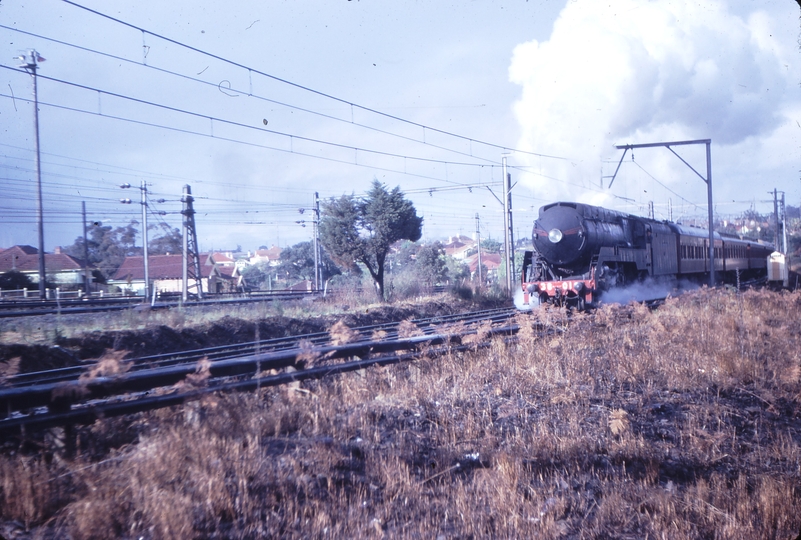 101934: Asquith Down Special to Merriwa 3801 Photo Late Miss R H Pirani
