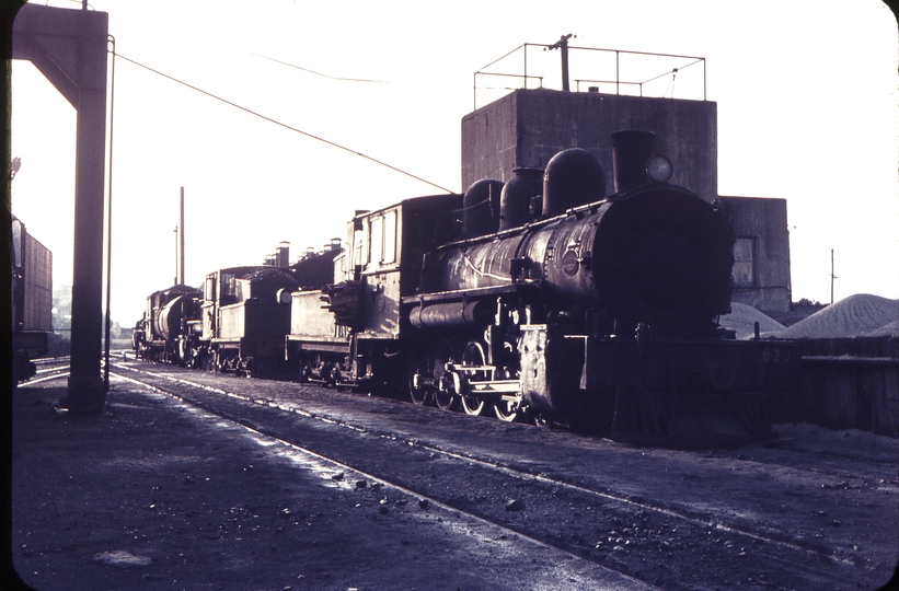 103933: Frankton Locomotive Depot Bb 620 Bb 635 Ab 739