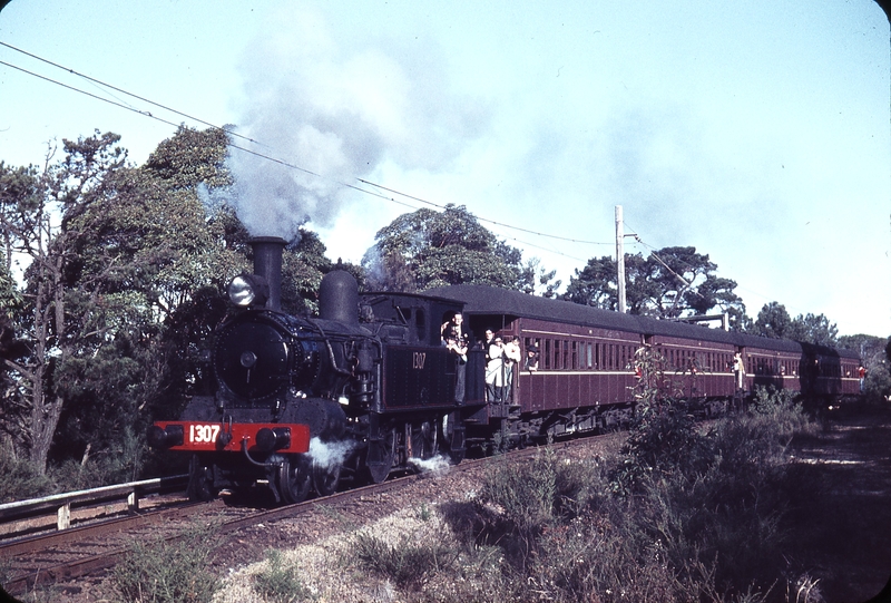 104746: The Royal National Park up side Up ARE Special 1307