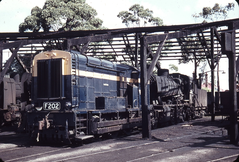 105451: Geelong Locomotive Depot F 202 J 541