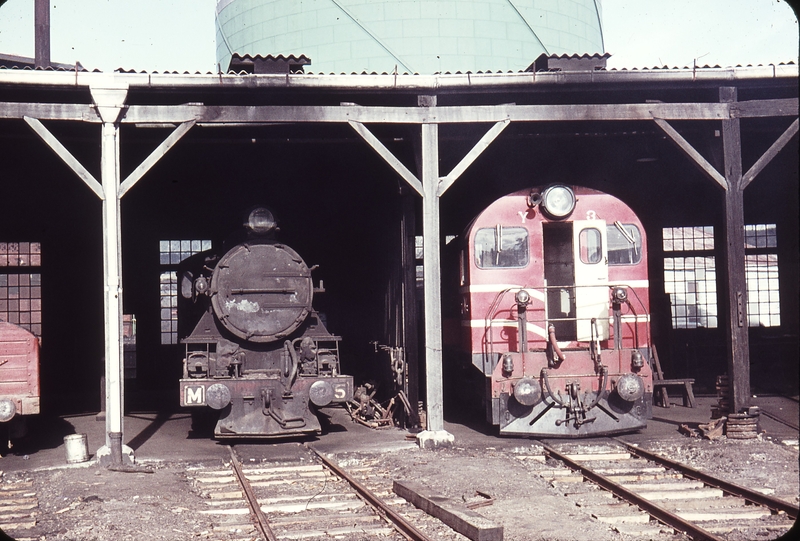 105771: Hobart Locomotive Depot M 5 Y 3