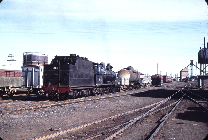 106337: Port Pirie Junction Yard NG Shunter T 255