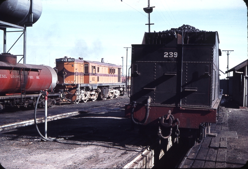 106340: Port Pirie Junction SAR NG Locomotive Depot 863 T 239
