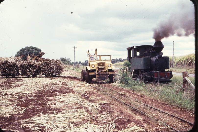 108011: Bingera Mill Field near South Kolan Blitz hauling wagons on temporary track and Ralf