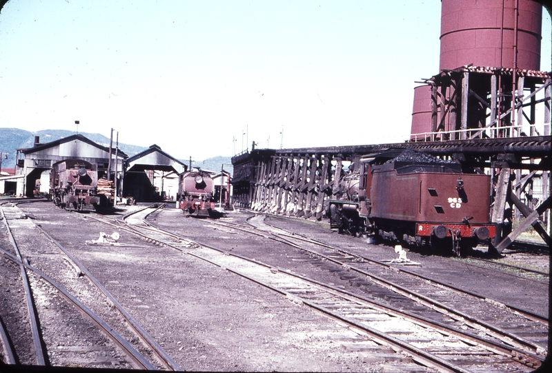 108145: Rockhampton Locomotive Depot Beyer Garratts 1098 and 1107 Stored and C17 965