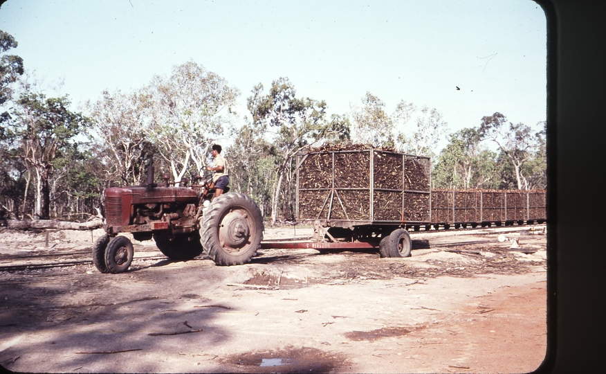 108436: Bambaroo Tractor with cane wagon on road trailer