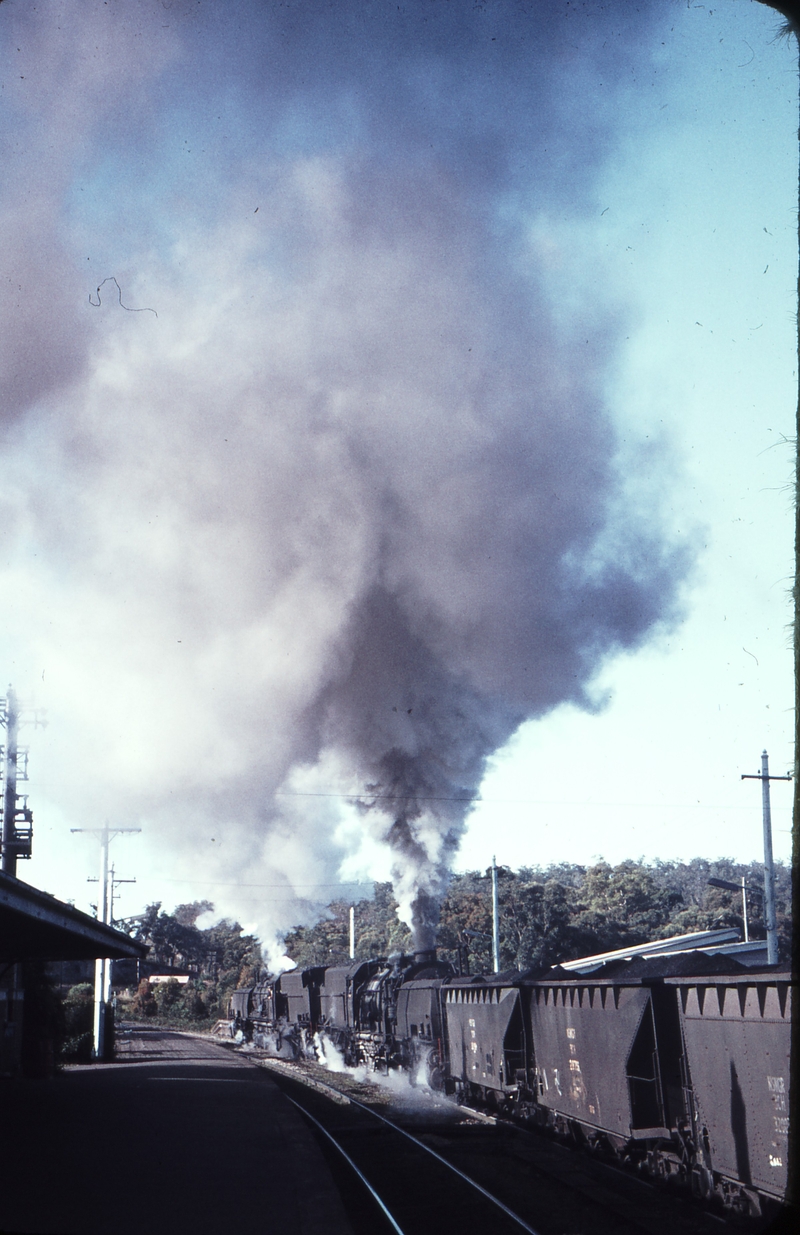 109073: Fassifern Up Coal from Newstan Colliery 6039 6008
