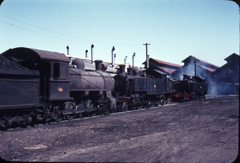 109238: East Perth Locomotive Depot Fs 365 Dd 591 Dd 595