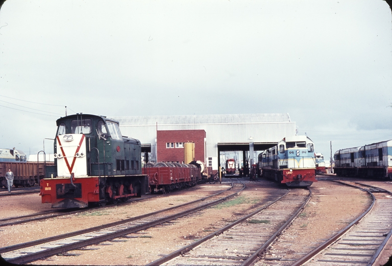 109403: North Fremantle Locomotive Depot T 1801 L 257