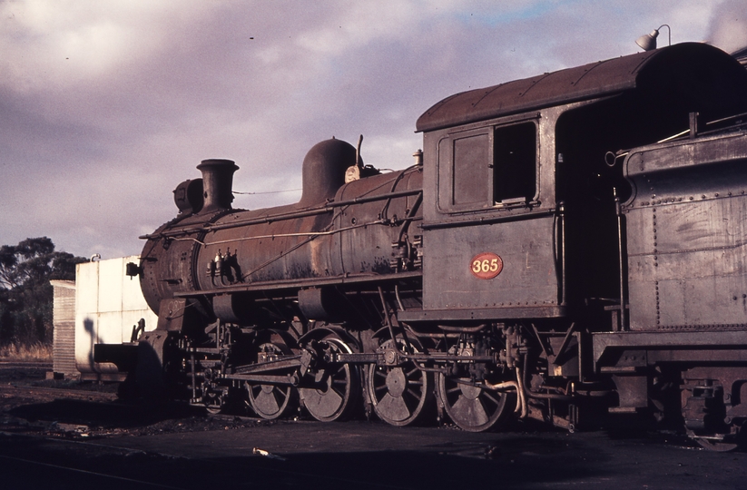 109843: Narrogin Locomotive Depot Fs 365