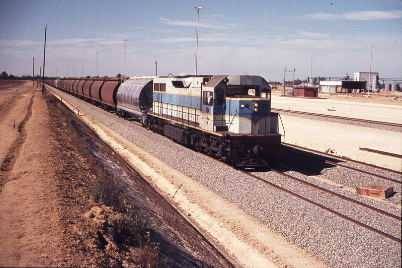 109949: Forrestfield Opposite Locomotive Depot Down Grain Empty L 251