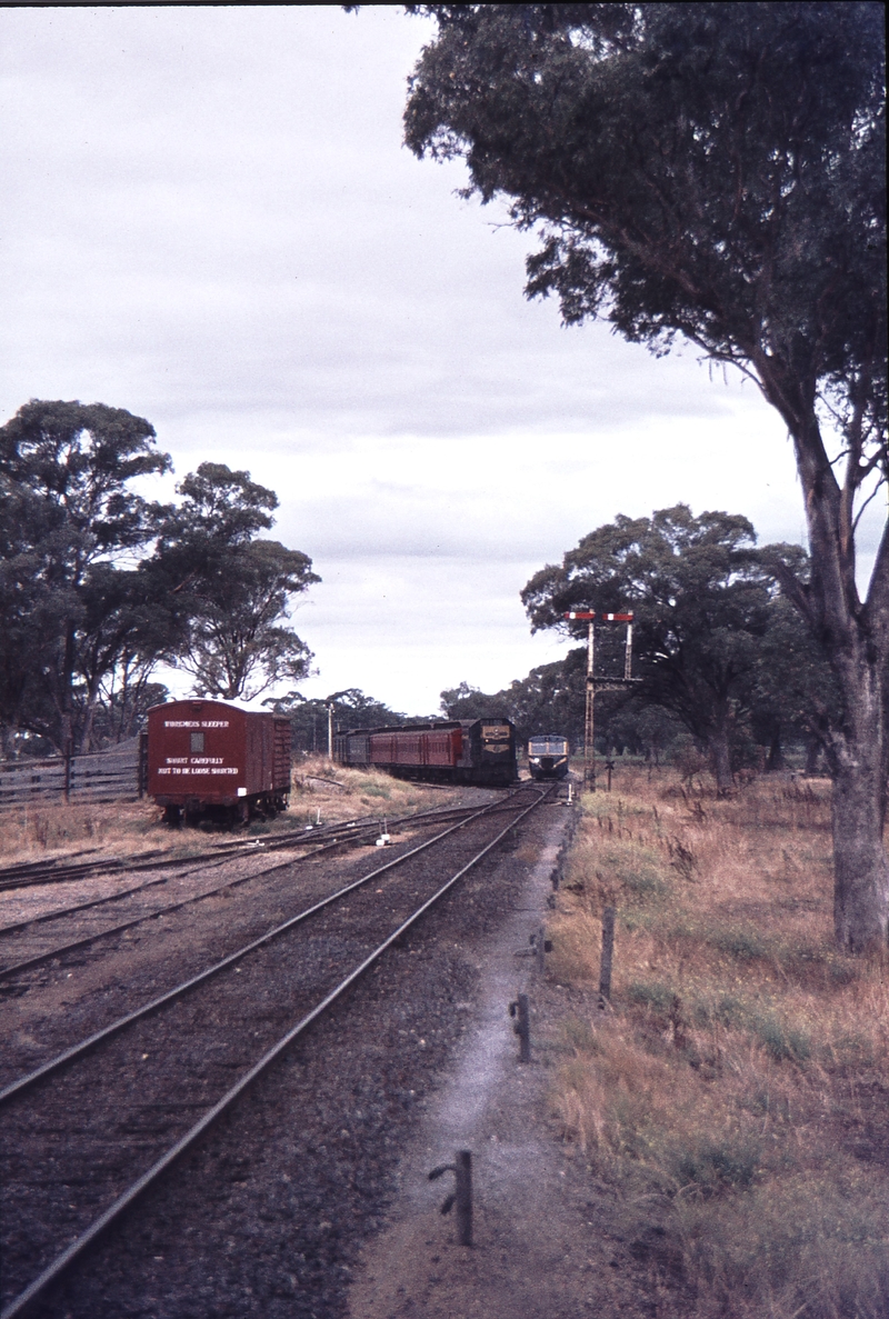 113351: Strathmerton Up Passenger from Tocumwal T 353 and 13 RM on Cobram Line
