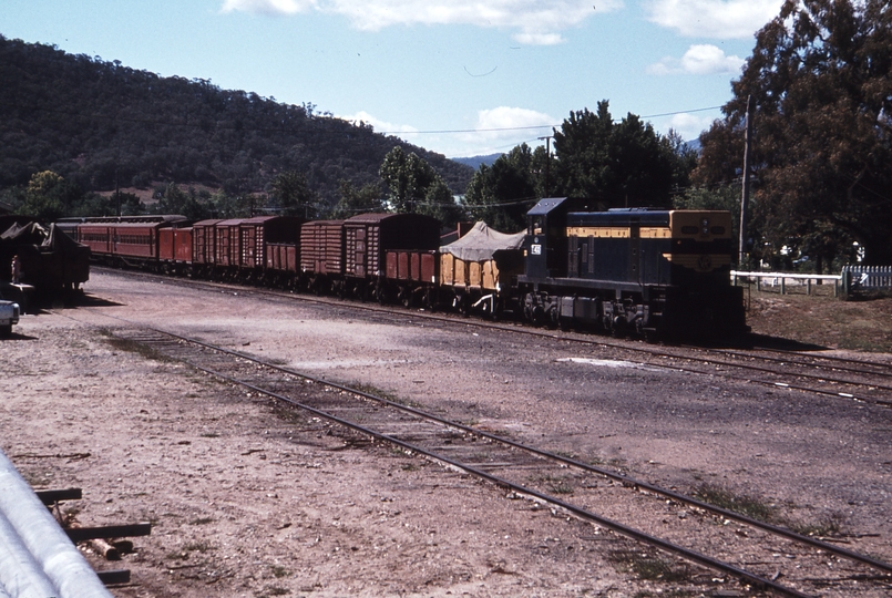 113932: Myrtleford Up Goods with AREA Cars attached T 400