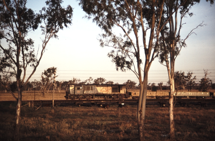 114520: Yeppen up side Down Goods from Mount Morgan 1286