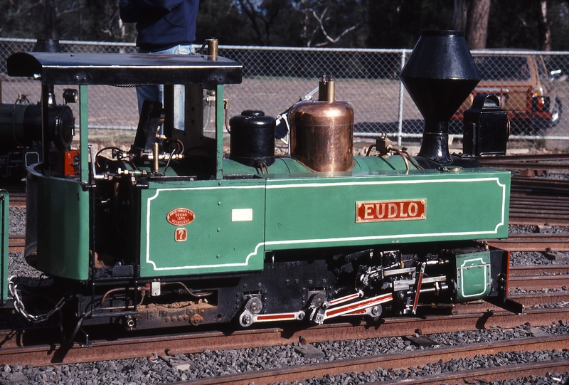 114744: Diamond Valley Railway Eltham Model of Coolum No 7