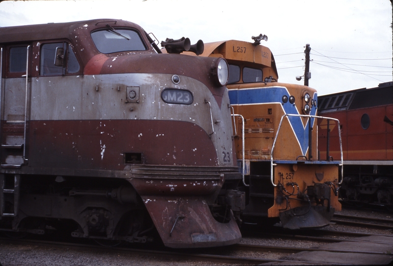 115329: South Dynon Locomotive Depot GM 23 L 257