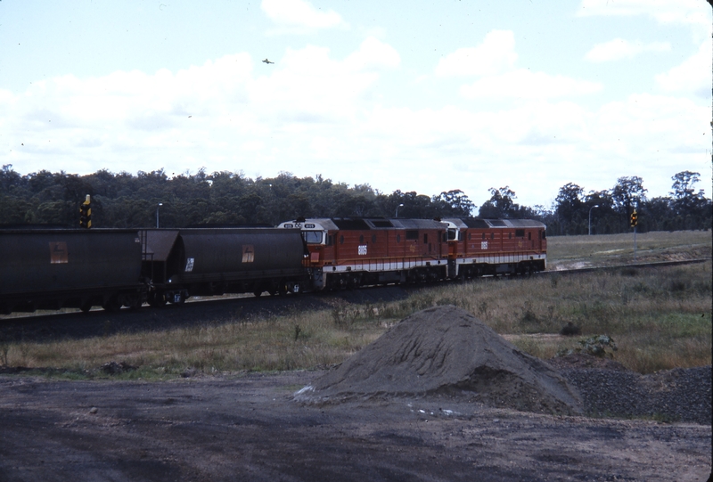 115621: Mount Thorley Coal Train 8165 8105
