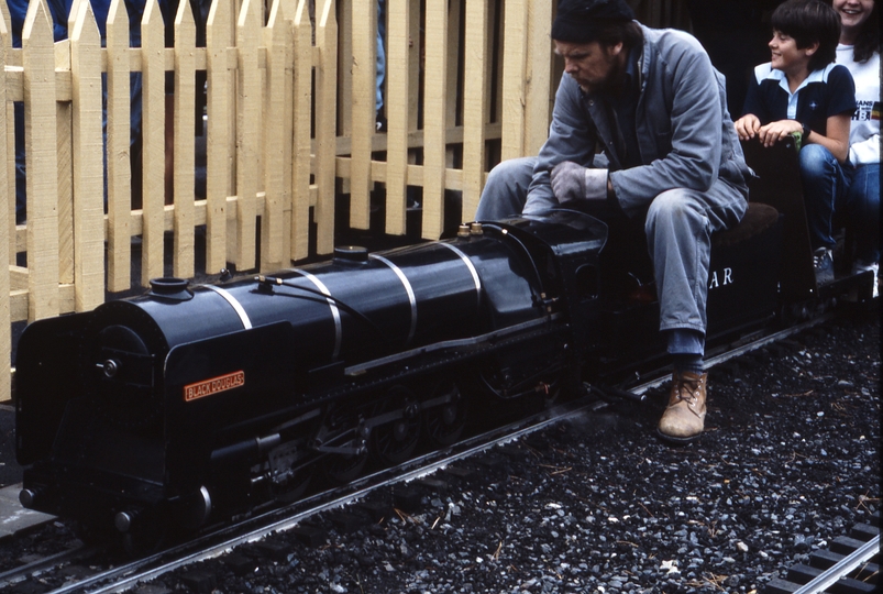 115732: Box Hill Miniature Railway 127 mm gauge Black Douglas