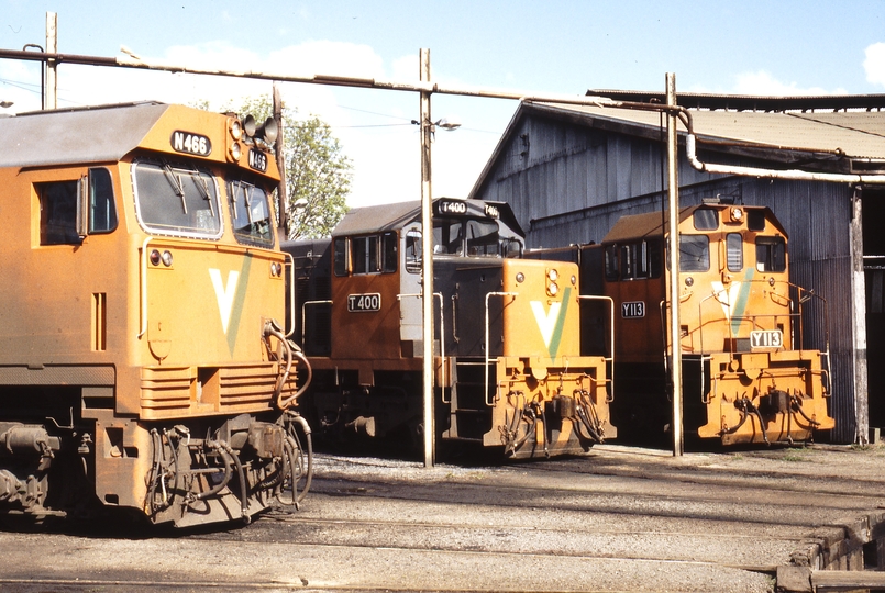 116579: Traralgon Locomotive Depot N 466 T 400 Y 113