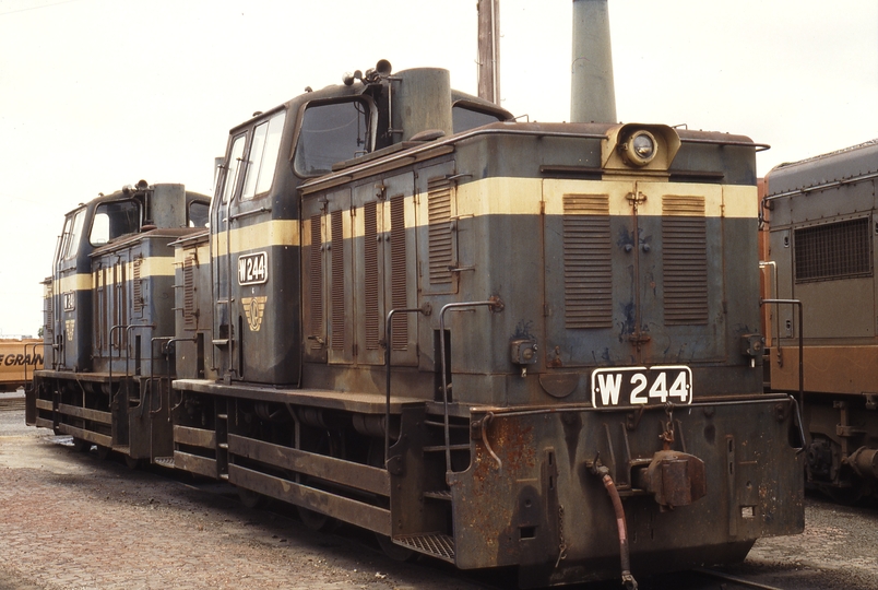 116831: Geelong Locomotive Depot W 241 W 244