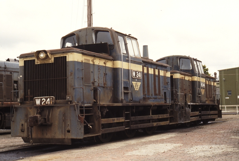 116832: Geelong Locomotive Depot W 241 W 244