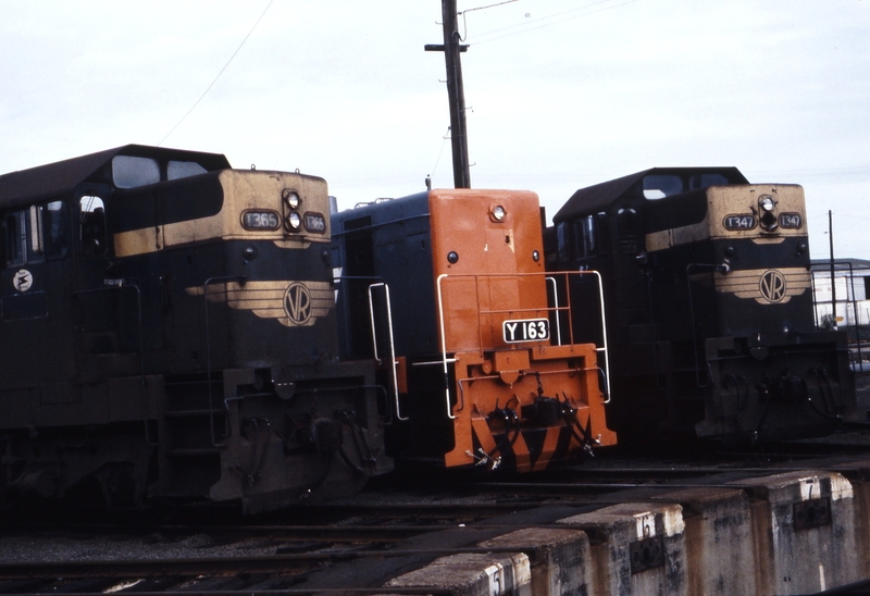 116909: South Dynon Locomotive Depot T 365 Y 163 T 347