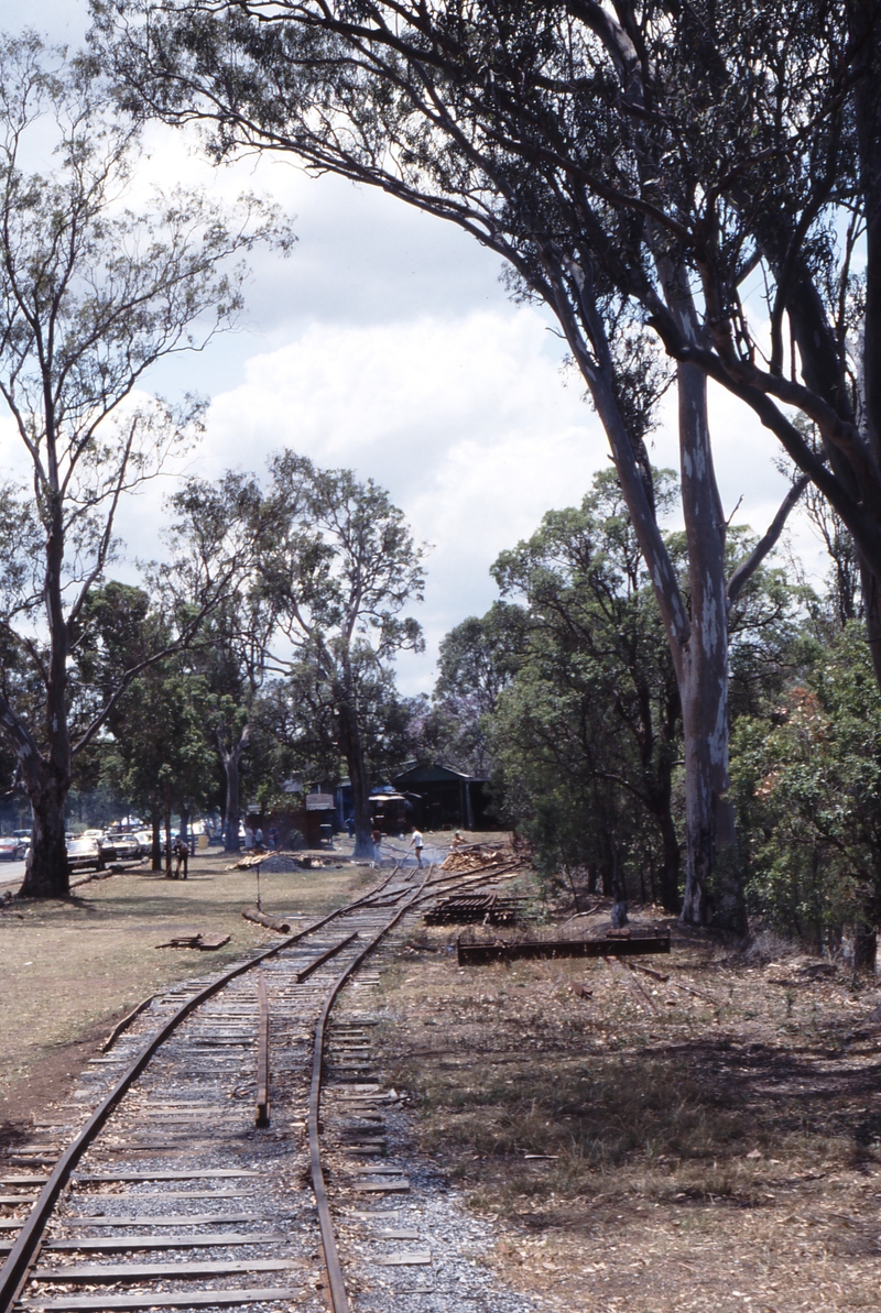 117871: Parramatta Park Approaching Depot