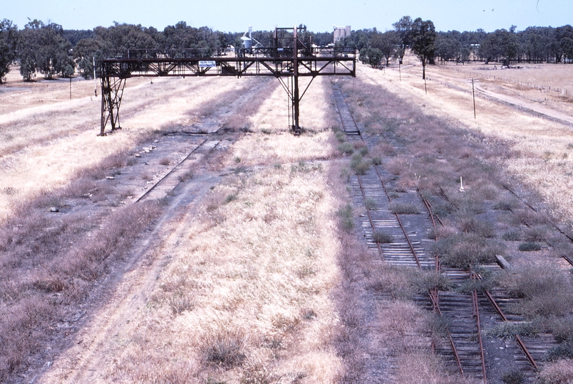 118131: Tocumwal Looking South from Northerly Gantry Crane