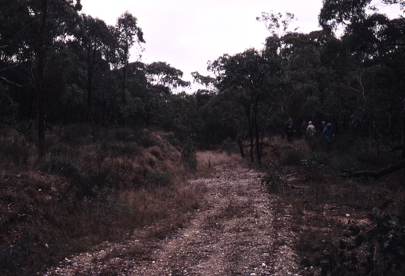 118925: Mile 95.5 via Ballarat Looking South