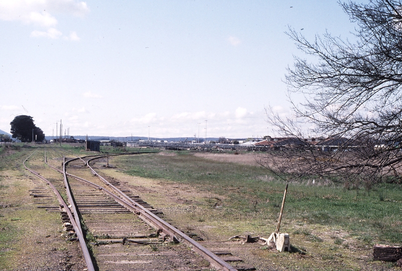 118960: Ballarat Cattle Siding Looking East from Learmonth Street Redan Line at right