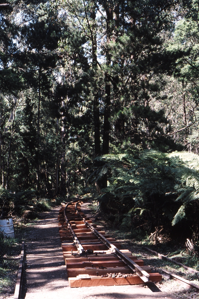 119193: Fielder Looking towards Gembrook from end of track