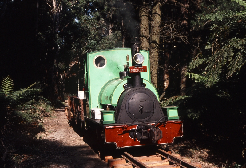 119210: Fielder Work Train Peckett 1711 First Steam