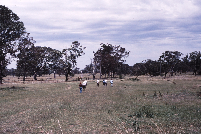 119537: Yan Yean Looking South from South End of Yard