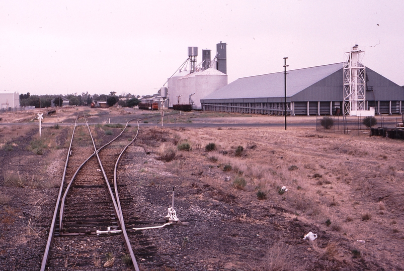 119594: Deniliquin Up end Points Looking North