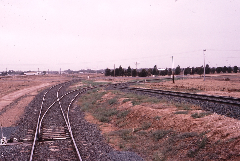 119595: Deniliquin Sale Yards Siding Down end points Looking North