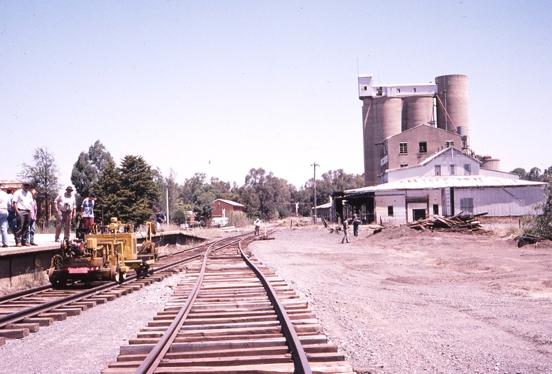 119667: Tocumwal Looking South along Broad Gauge from South end of Platform
