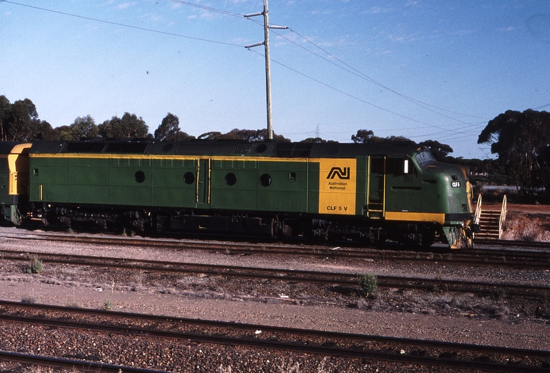 121692: West Kalgoorlie Westbound SCT and TNT Train CLF 5 ALF 24 CLF 2 GM 37