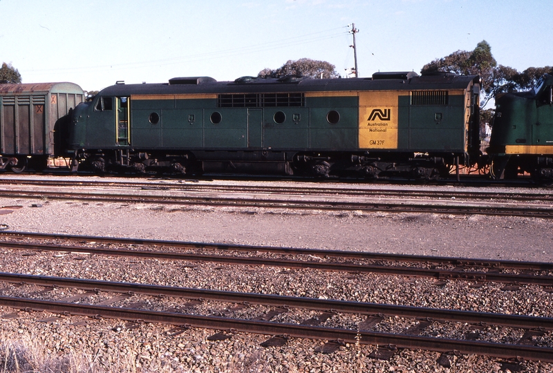 121694: West Kalgoorlie Westbound TNT and SCT Train CLF 5 ALF 24 CLF 2 GM 37