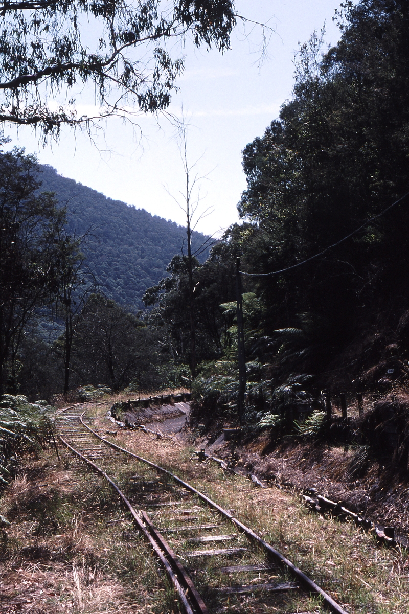 122145: Bogong Tramway Looking upstream from first weir