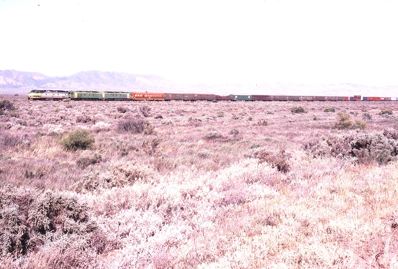 122709: Trans Australia Railway km 79 3MP9 SCT Train CLP 10 ALF 20 ALF 25