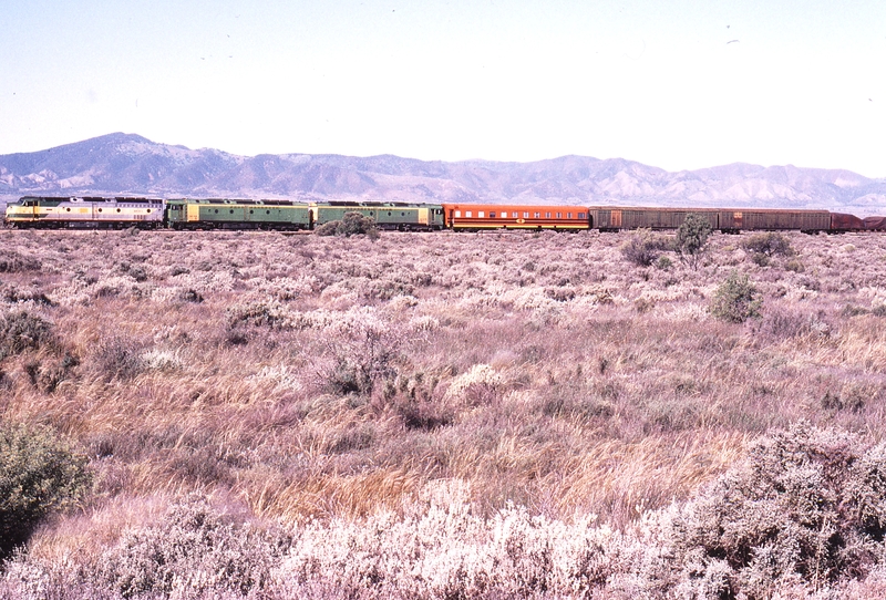 122710: Trans Australia Railway km 79 3MP9 SCT Train CLP 10 ALF 20 ALF 25
