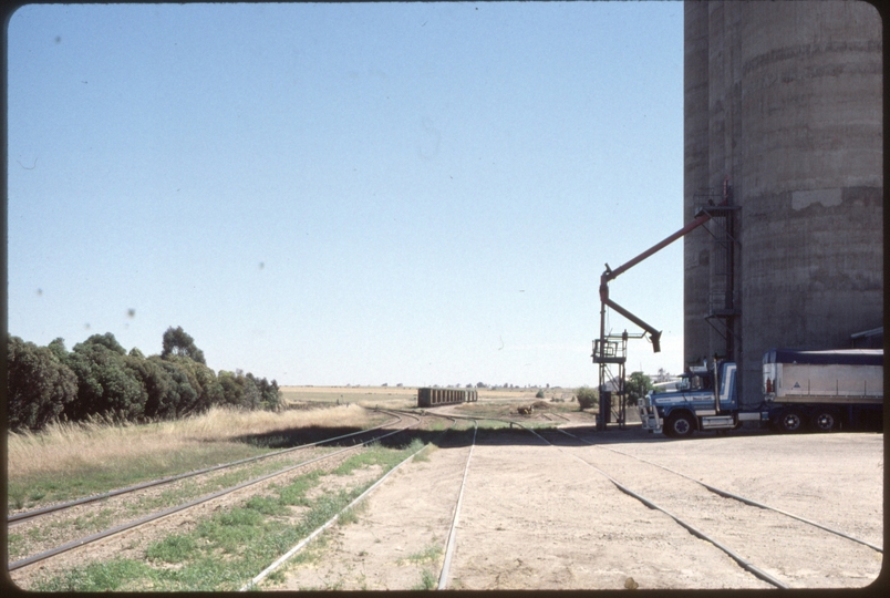 124305: Roseworthy looking North Grain Wagons standing Kapunda Line