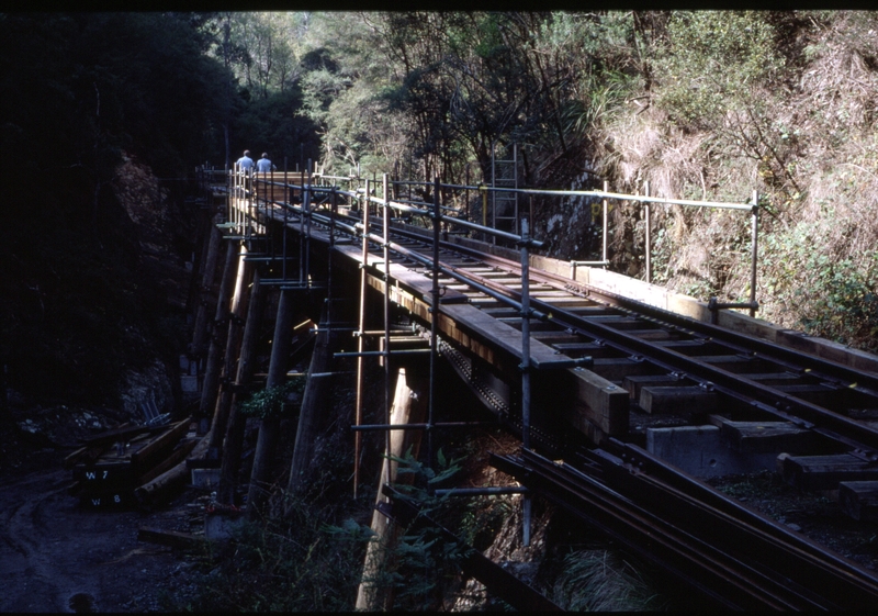 124756: Bridge 6 (from Walhalla), looking North from South Abutment