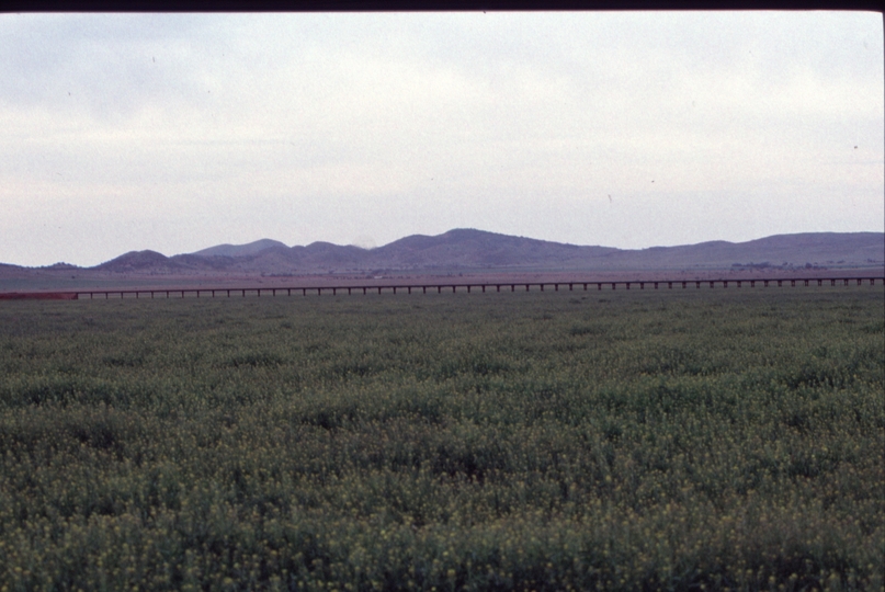 125037: Black Rock Viaduct viewed from West side