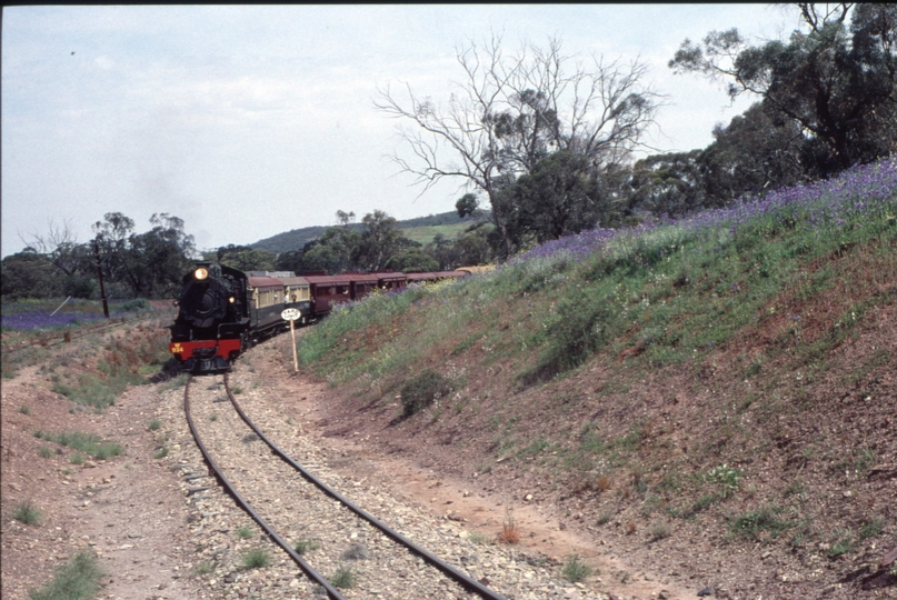 125062: Summit Passenger from Woolshed Flat W 934