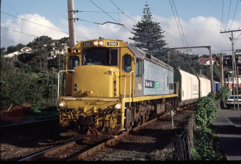 125173: Plimmerton 210 Freight to Auckland Dx  5166