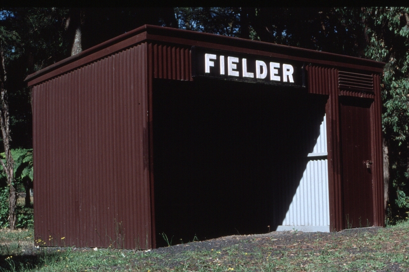 126171: Fielder