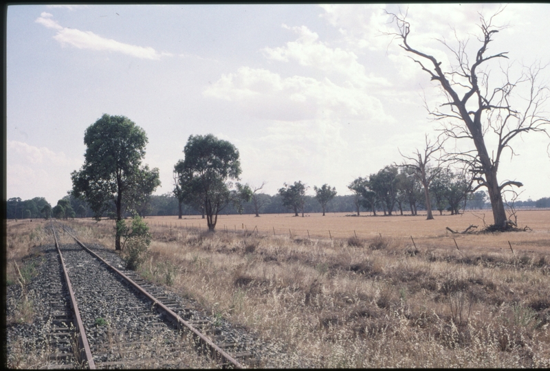 128256: Weeamera looking towards Culcairn from level crossing